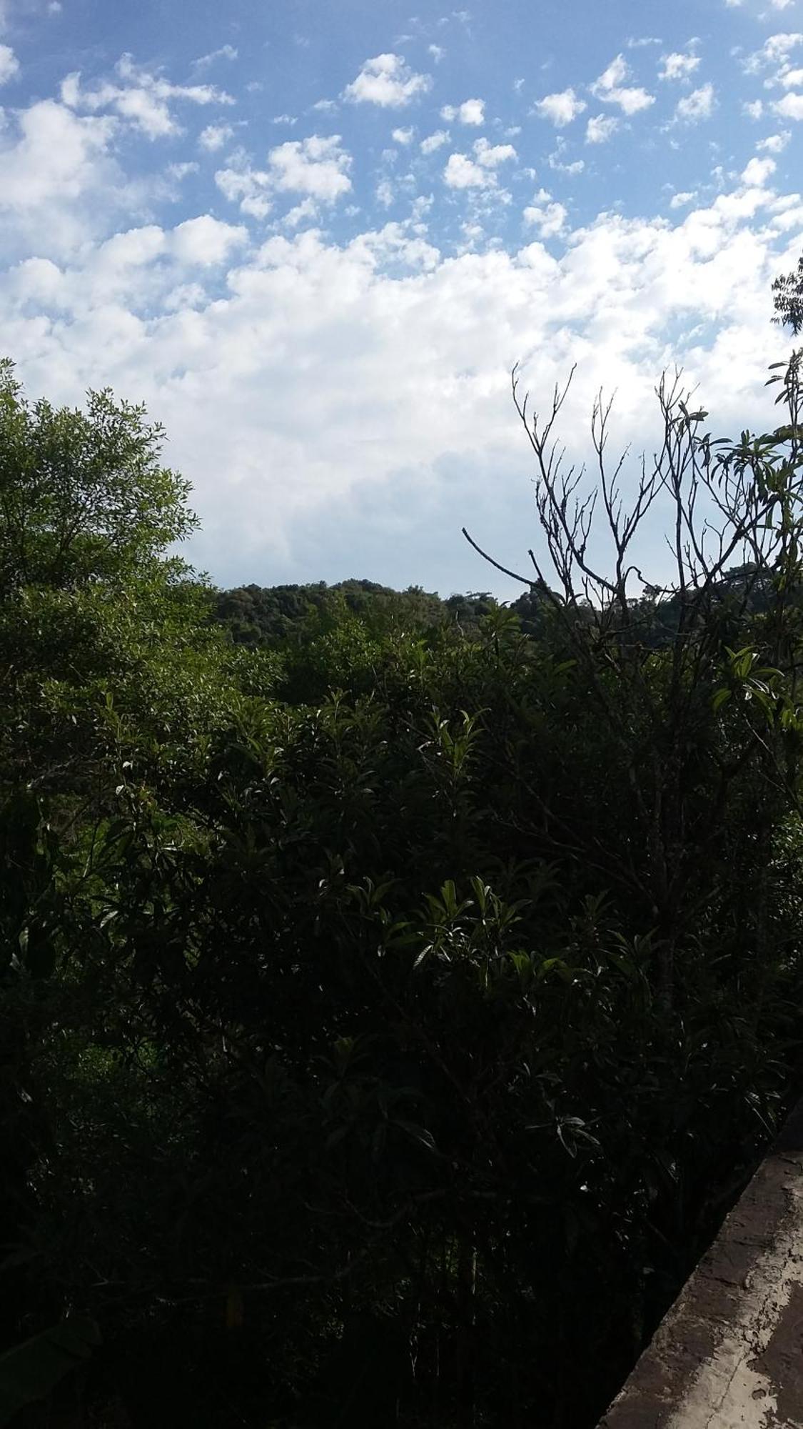 Kitnet Em Meio A Mata Atlantica Juquitiba Εξωτερικό φωτογραφία